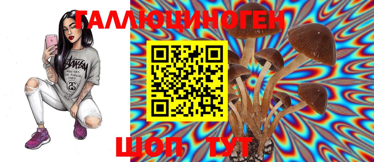 Батайск  Галлюциногенные грибы Psilocybine cubensis  Вход с VPN 